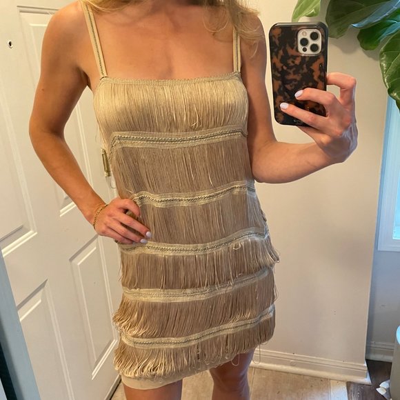 Zara Champagne Fringe Flapper Dress, Size 6 - Picture 2 of 5